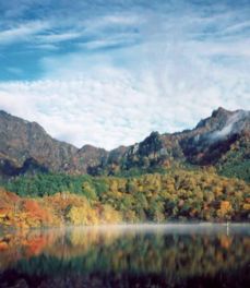 %e2%98%85%e7%b4%85%e8%91%891