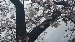 20160404_121230