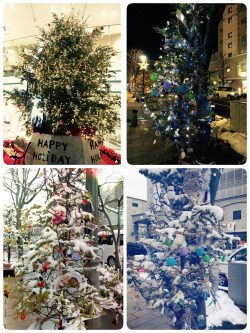 16-11-24-18-23-09-886_deco