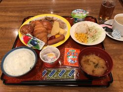 %e6%9c%9d%e9%a3%9fhp%e7%94%a81