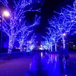 %e9%9d%92%e3%81%ae%e6%b4%9e%e7%aa%9f