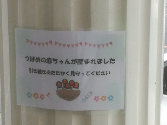 IMG_20170624_163243_resized_20170624_044321166