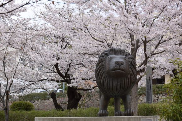 桜とライオン城山公園-